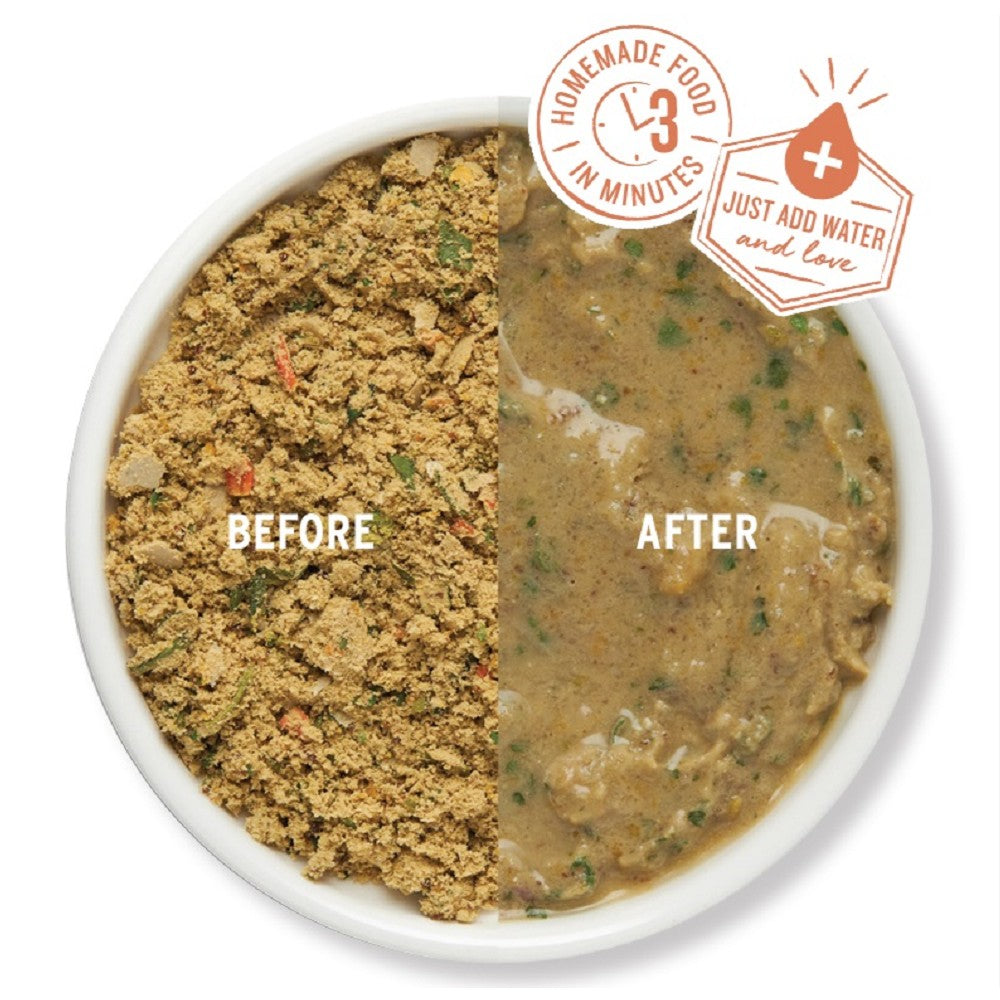 Gourmet Grain Turkey & Fish Complete Dehydrated Dog Food