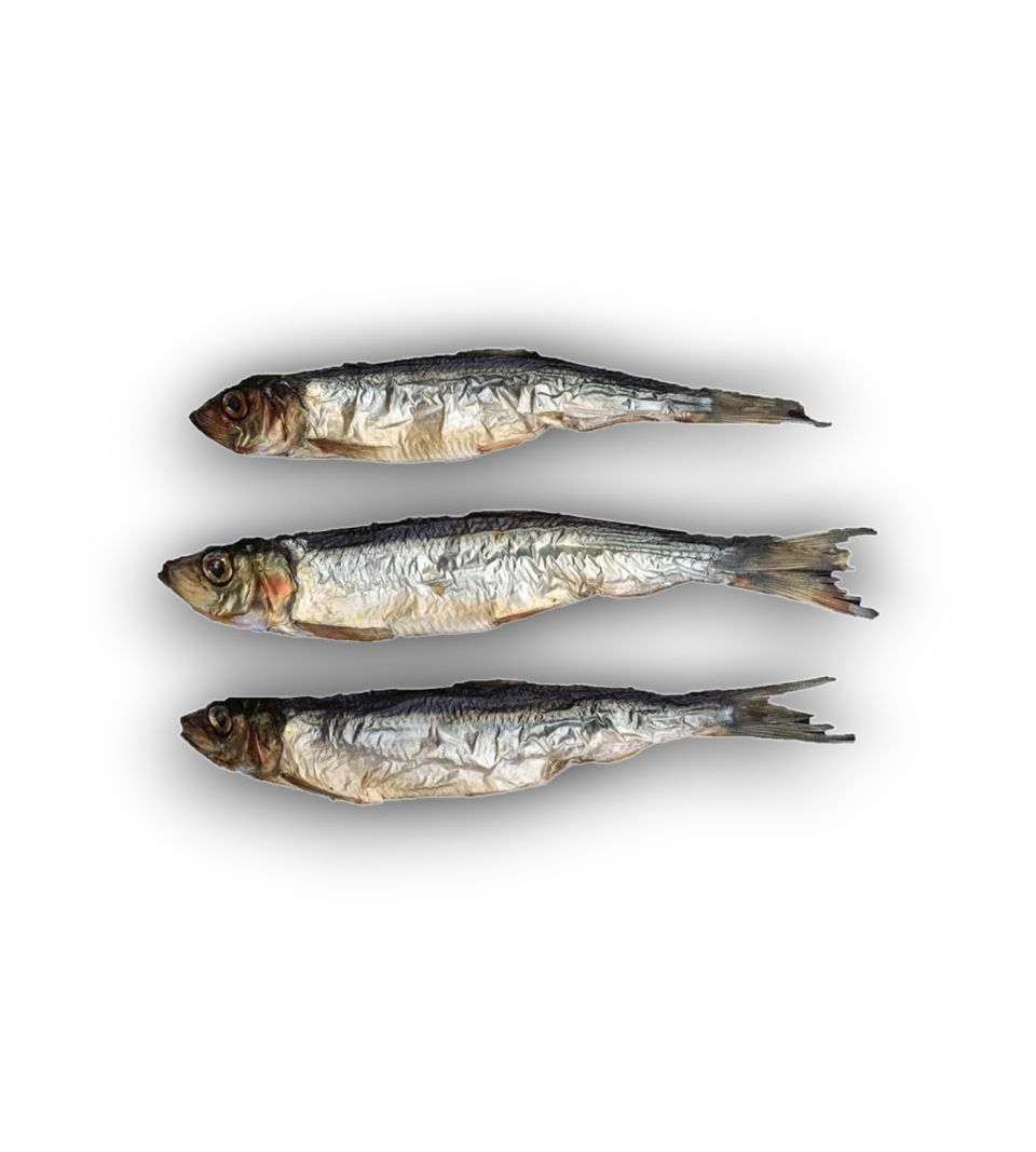 Anco Oceans Dried Herring – 10 Pack Dog Treat