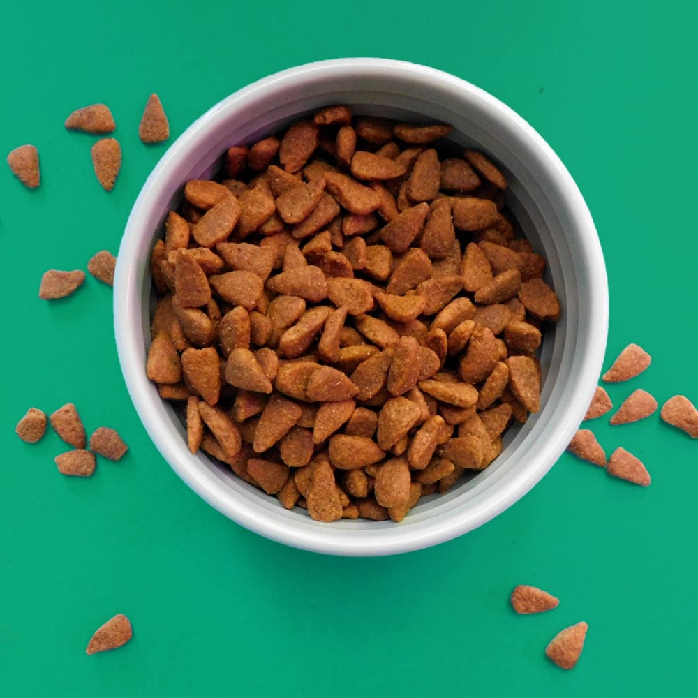 Fromm Four-Star Grain-Free Chicken au Frommage Dry Dog Food
