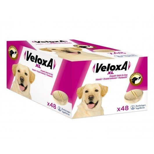Veloxa Worming Tablets For Xl Dogs 48 Pack