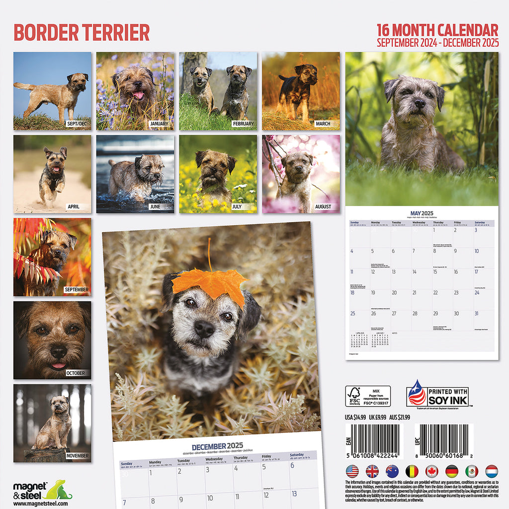 Border Terrier Traditional Calendar 2025