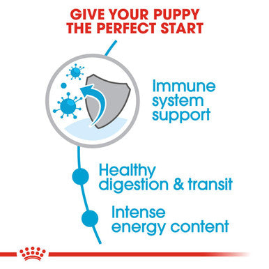Royal Canin X Small Junior