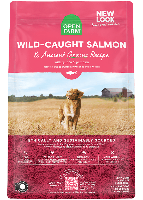 Open Farm Wild Caught Salmon & Ancient Grains Dry Dog Food