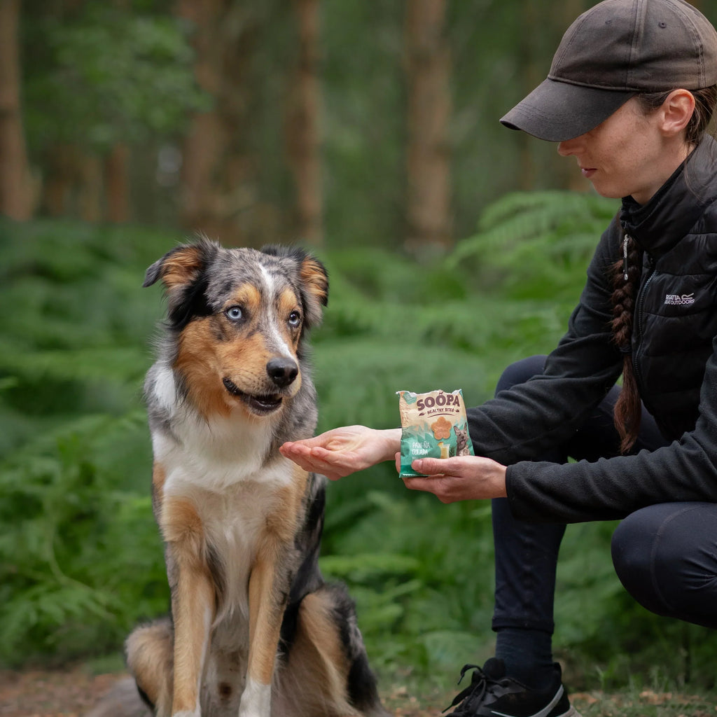 Soopa - Healthy Bites Dog Treats