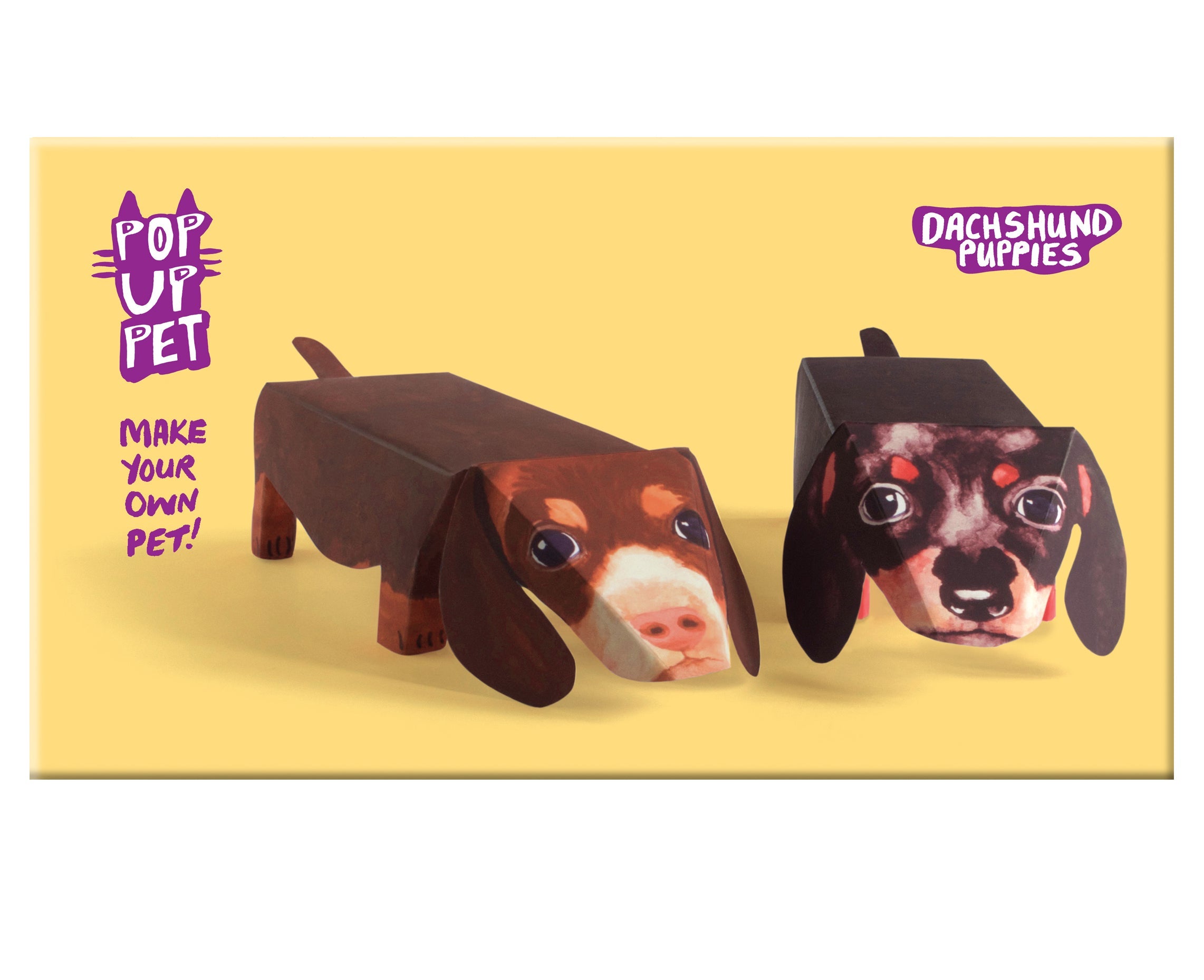 Pop Up Pet Dachshund Puppies