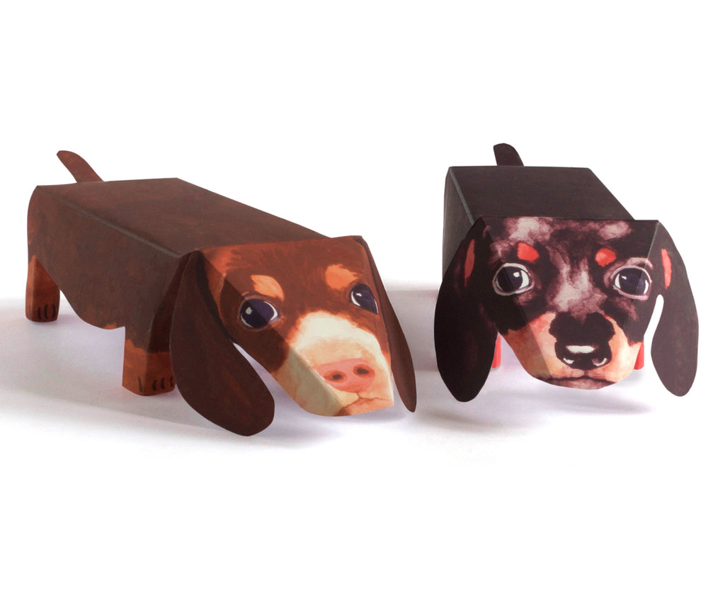 Pop Up Pet Dachshund Puppies