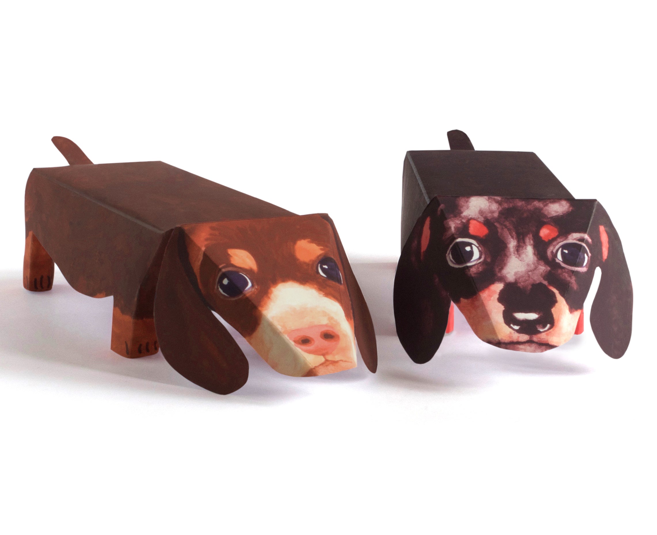 Pop Up Pet Dachshund Puppies