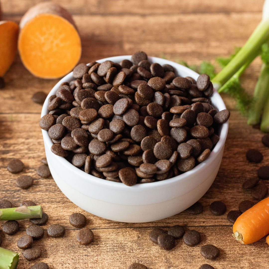 SayGrace Grain-Free Adult Tender Lamb Dry Dog Food
