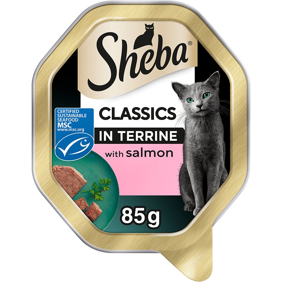 Sheba Classics Wet Cat Food Tray Salmon in Terrine 85g (Pack of 22)