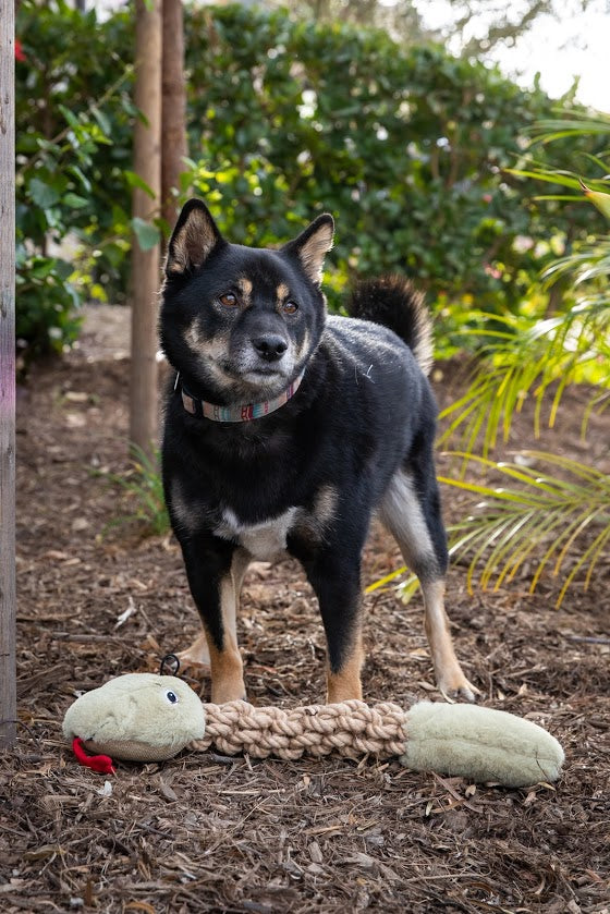 Tough Hemp Rattlesnake Dog Toy: Non-Toxic, Squeaky & Crinkly, Mentally & Physically Stimulating for Chewing & Fetching, Durable Hemp Rope for Dental Cleaning & Gum Massage, Perfect for Chewers & Destructive Pets