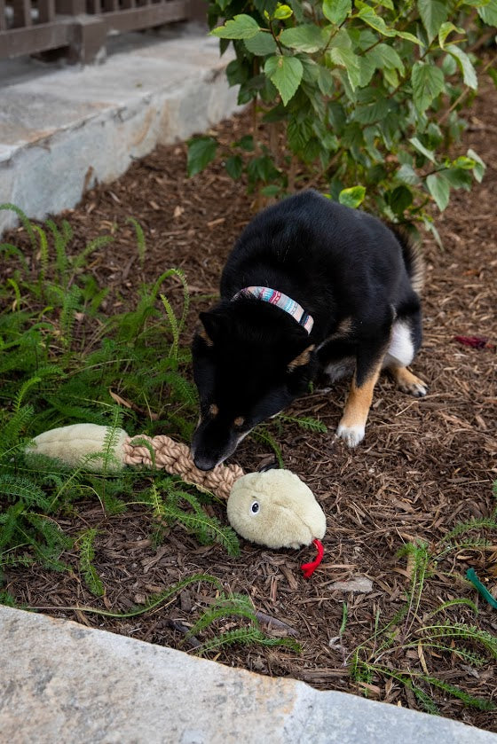 Tough Hemp Rattlesnake Dog Toy: Non-Toxic, Squeaky & Crinkly, Mentally & Physically Stimulating for Chewing & Fetching, Durable Hemp Rope for Dental Cleaning & Gum Massage, Perfect for Chewers & Destructive Pets